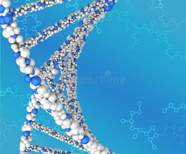 腺嘌呤 人类 鸟嘌呤 染色体 生物学 生物技术 细胞 生活