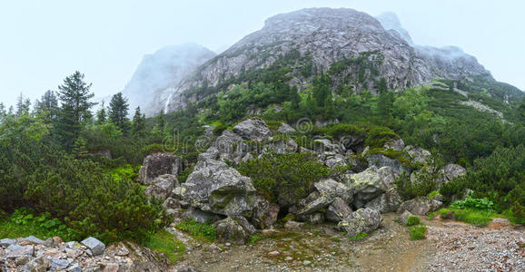 大寒谷夏季景观高地塔特拉斯，斯洛伐克。