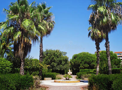 美丽的 闲逛 花园 公园 生长 场景 美女 植物 平原 风景