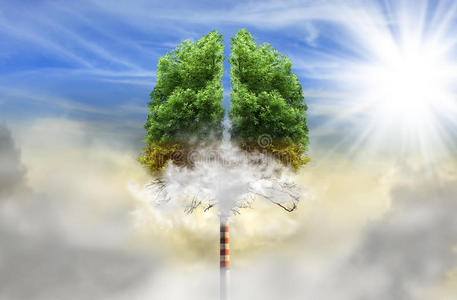 燃料 分支 环境 未来 森林 空气 地球 气候 生态学 人类