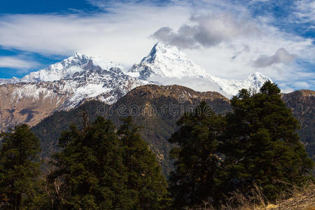 徒步旅行 情景 公司 全景 喜马拉雅山脉 高的 全景图 风景