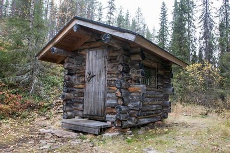 自然 天空 房子 风景 建筑 古老的 小屋 日志 森林 秋天