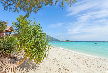 在一个原始的海滩旁，夏天的天堂背景。