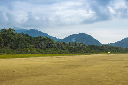 美丽的 风景 海滩 海岸线 巴西 日光 丘陵 沿海 天堂