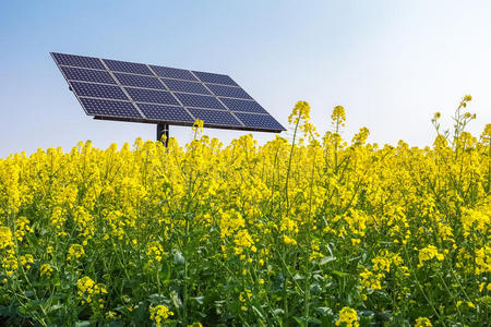 面板 农场 瓷器 植物 新的 领域 生态学 国家 环境 资源