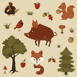 森林动物插图