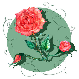 自然 框架 夏天 玫瑰 颅骨 庆祝 花束 复古的 浪漫的