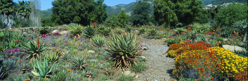 春天的花园，奥贾伊地球关注中心，奥贾伊，加利福尼亚