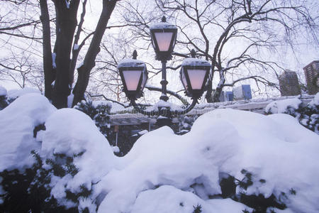 建筑 季节 颜色 寒冷的 公园 冬天 联合 曼哈顿 天气