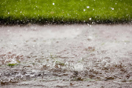 暴风雨 液体 重的 飞溅 池塘 圈子 天气 自然 春天 滴下