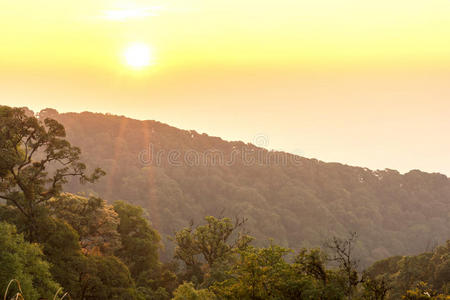 伍兹 太阳 地平线 泰国 黎明 领域 植被 日落 气氛 风景