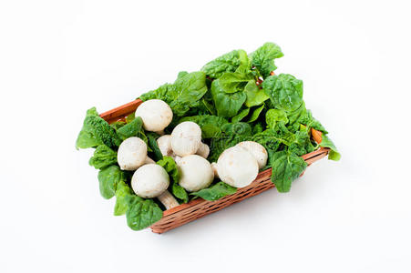 绿色菠菜和白色蘑菇在白色背景垂直f