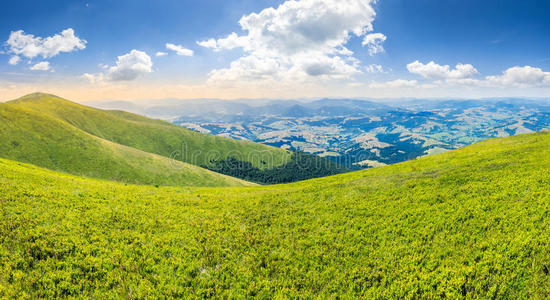 场景 领域 植物区系 风景 丘陵 山谷 高地 天空 地平线