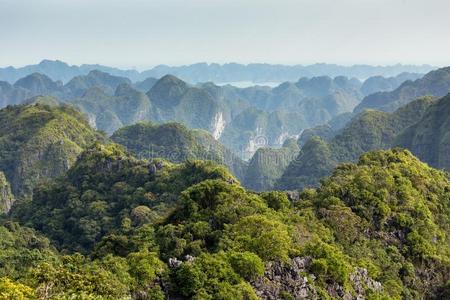 公园 局域网 风景 海的 冒险 天堂 郁郁葱葱 美丽的 目的地