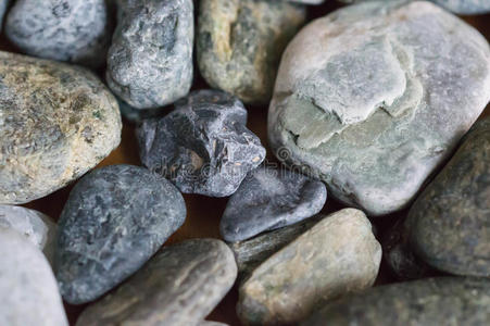 地质学 海滩 石头 自然 岩石 夏天 花园 样品 卵石 材料