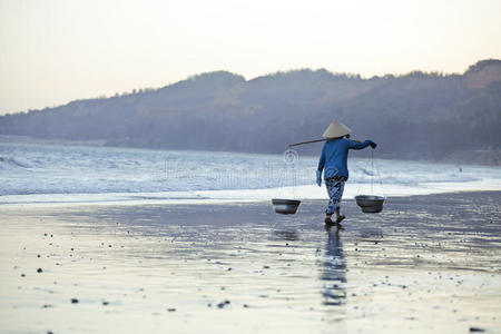 种子 日落 中南半岛 女人 领域 旅行 海滩 颜色 食物