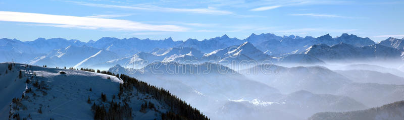 全景图 森林 自然 全景 风景 寒冷的 阿尔卑斯山 首脑会议