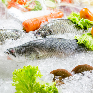 贝类 品种 形象 准备 食物 龙虾 海鲜 贝壳 贻贝 特写镜头