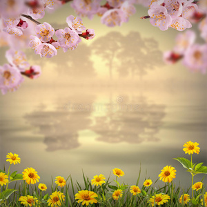 花background111