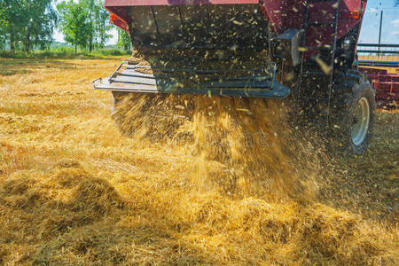 非城市 玉米 农场 机器 收割 职业 机械 物体 收获 农业