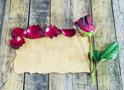 木制背景上的新鲜红玫瑰和旧纸