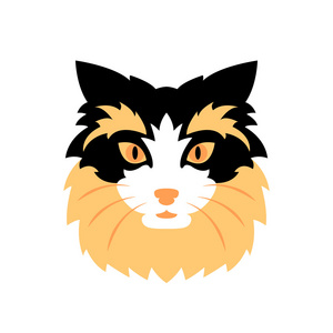 猫头脸矢量插画风格平照片