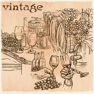 酒窖. 手绘矢量图片. 线艺术照片