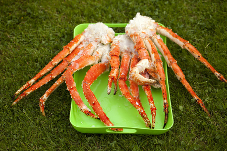 海胆顶视图皇家国王螃蟹在绿色托盘上的煮腿照片