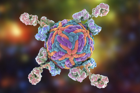 众志成城抗病毒抗病毒抗体照片