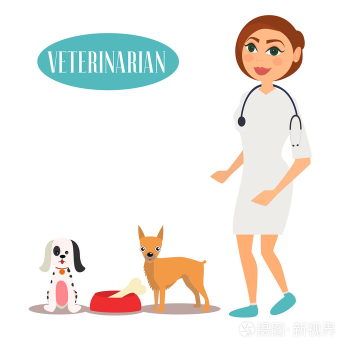 兽医医生与狗