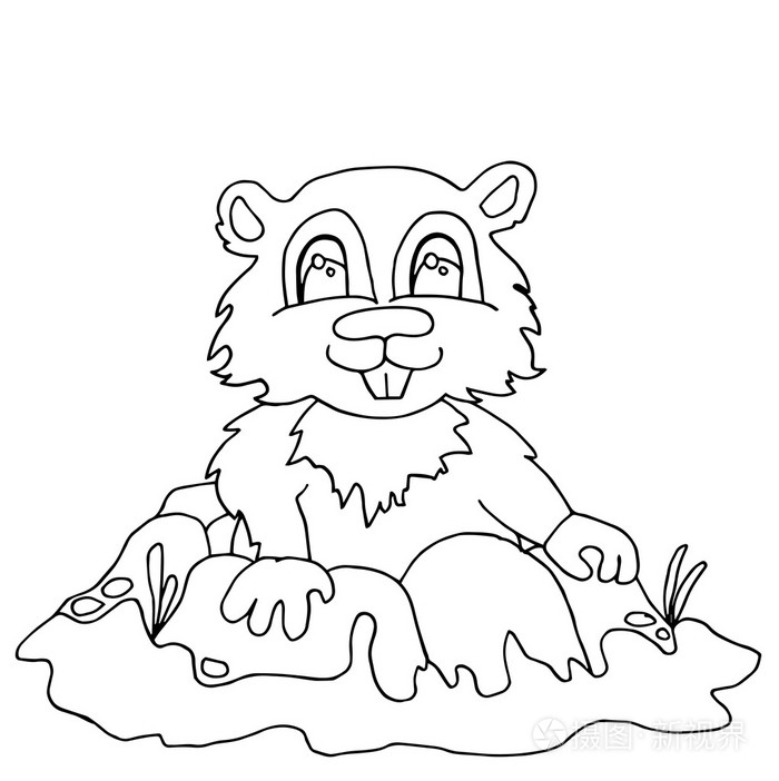 高品质花栗鼠详查在着色或说明的轮廓插画-正版商用图片1pyc1w-摄图新