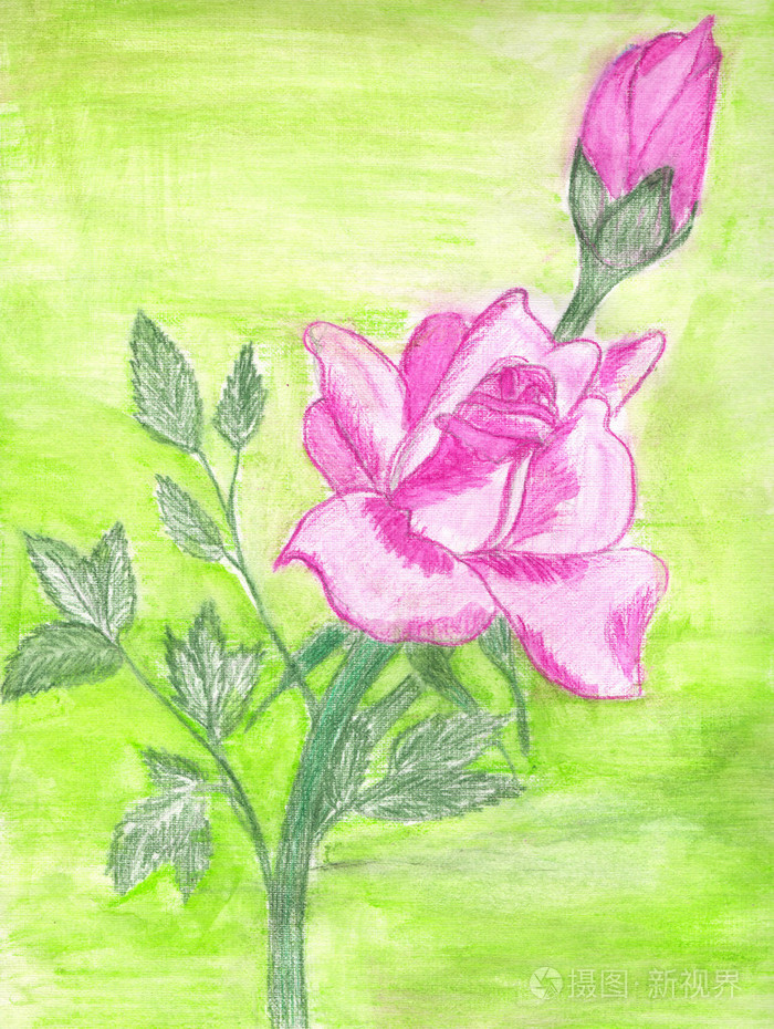蜡笔画的粉红色的玫瑰