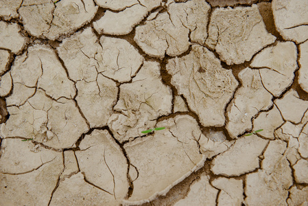土地龟裂效果图片