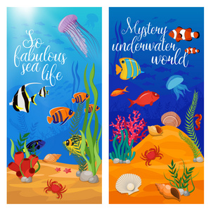 海洋生物植物旗帜图片