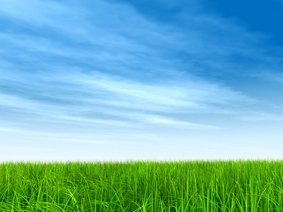 天然草地场照片