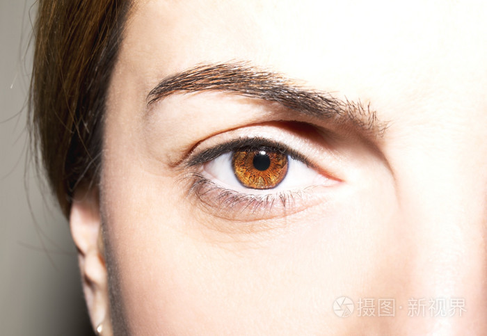 美丽有见地看棕色女人的眼睛