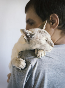 男人和他的猫照片