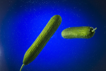 水在蓝色背景上的两个绿色黄瓜照片