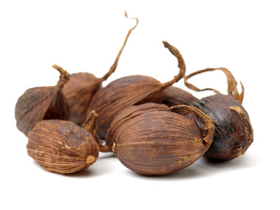 在一张白纸黑豆蔻照片