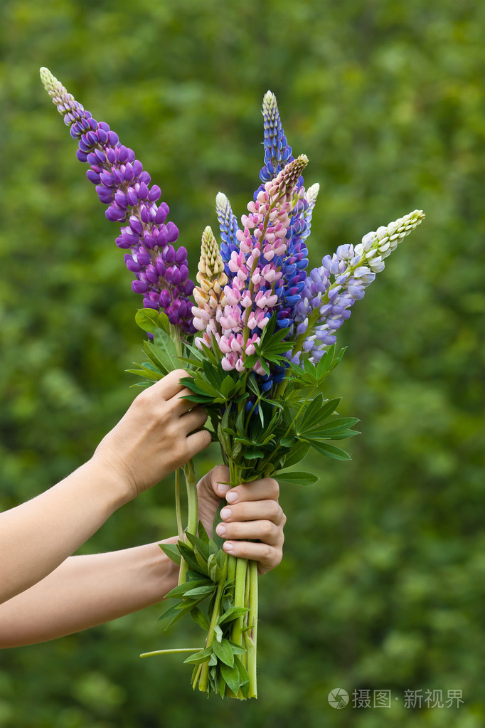手上从卢平鲜花花束