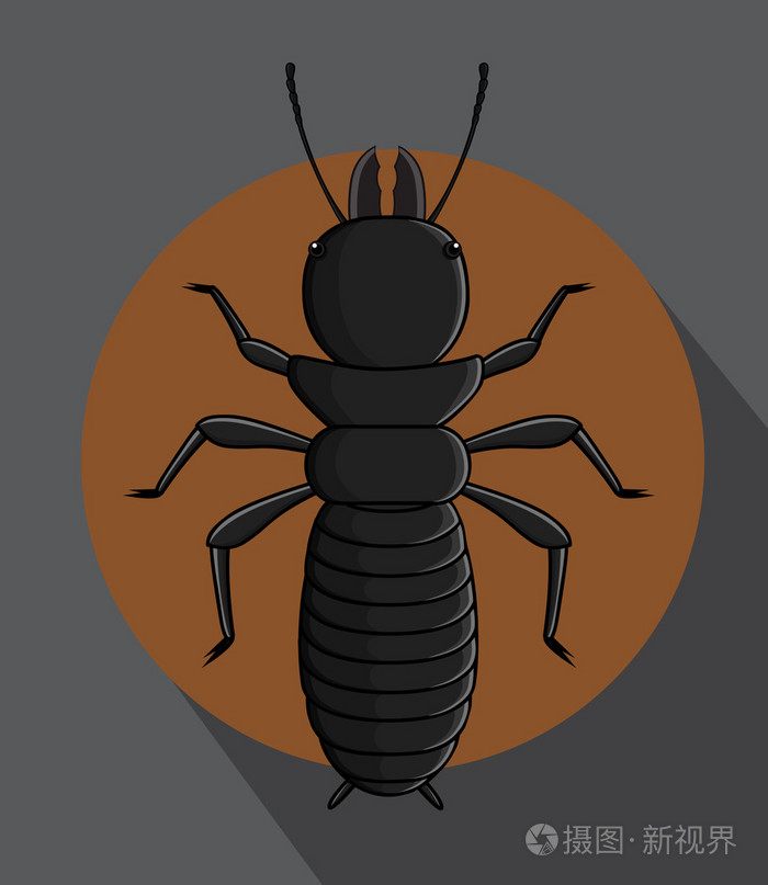 黑色的白蚁矢量