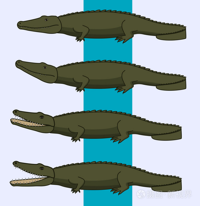 野生扬子鳄矢量