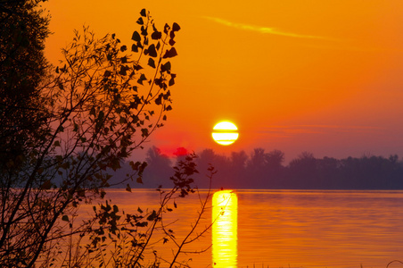 中午太阳秋天的森林雾,早晨的傍晚,明亮的黄色太阳.