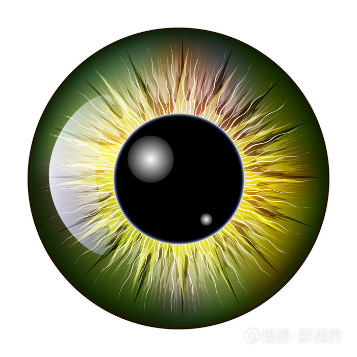 眼睛瞳孔虹膜矢量符号图标设计美丽的插图