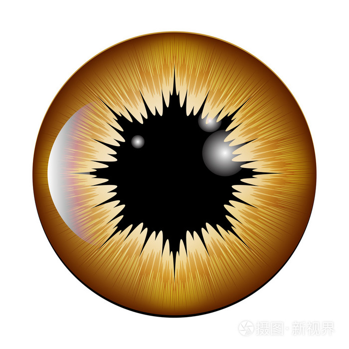 眼睛瞳孔虹膜矢量符号图标设计美丽的插图