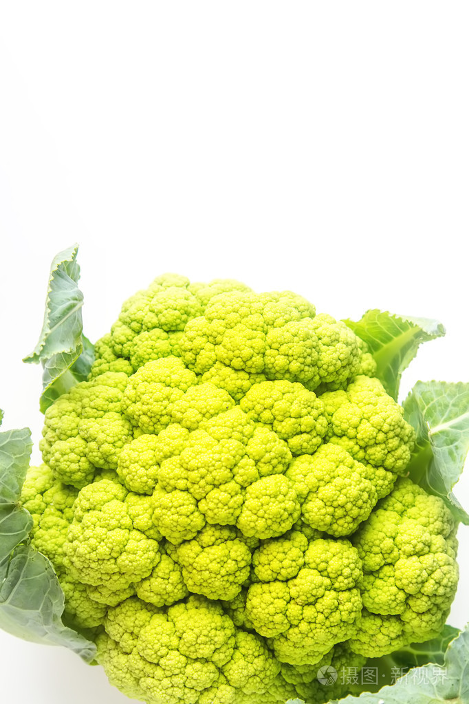 成熟的绿菜花白色背景食物从农场