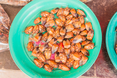 炒龙眼蝽 (荔枝蝽) 售价为本地照片