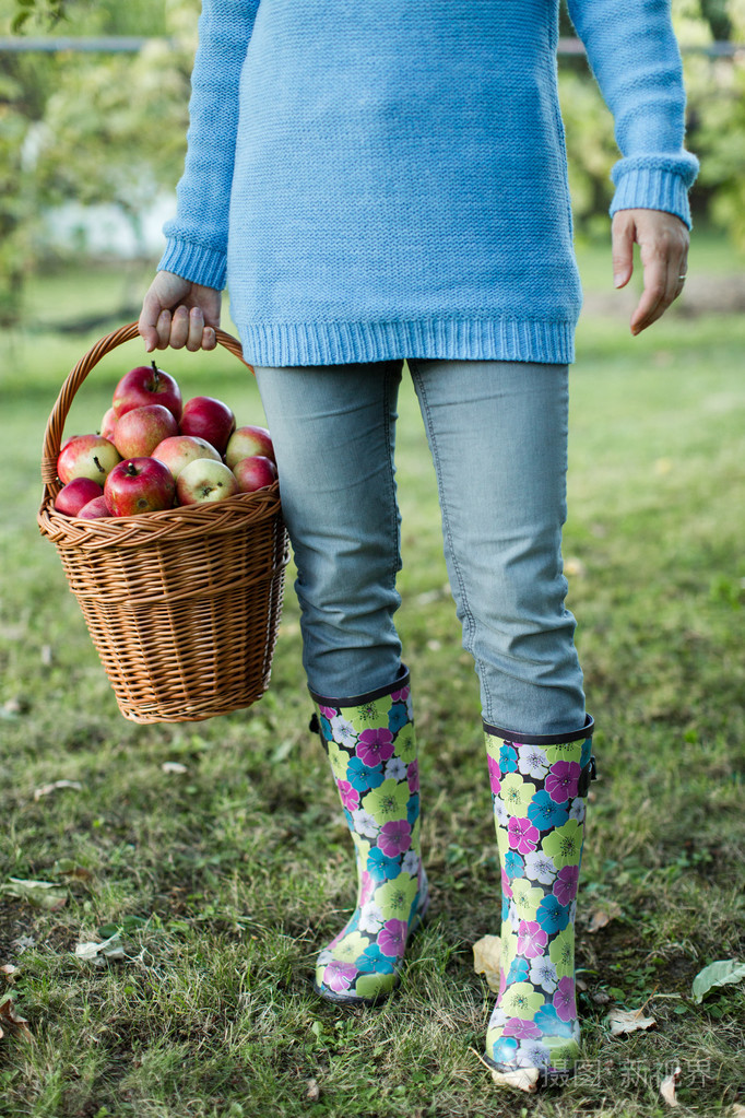 提着篮子装满了苹果的女人腰部的特写