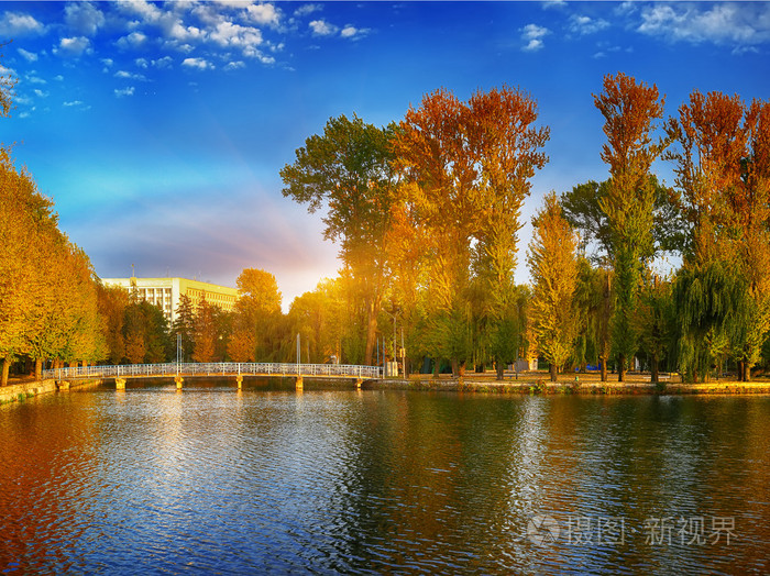 美丽的秋天公园在阳光明媚的天气