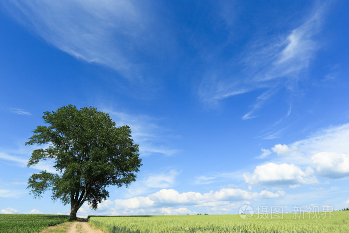 夏季北海道的风景照片-正版商用图片1q4337-摄图新视界